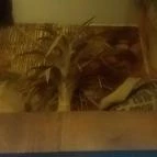 Cafe Frei Miskolc - Belső