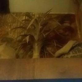 Cafe Frei, Miskolc - Belső