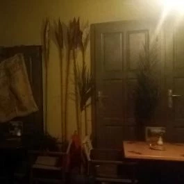 Cafe Frei, Miskolc - Belső