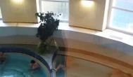 Dandár Gyógyfürdő Budapest -  Dandár Gyógyfürdő Budapest -
