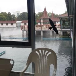 Hévízgyógyfürdő és Szent András Reumakórház, Hévíz - 