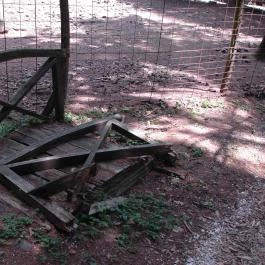 Grandhotel Galya, Galyatető - Környék