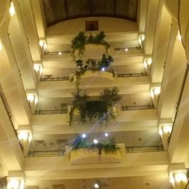 Palace Hotel , Hévíz - Belső