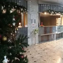 Silver Hotel, Hajdúszoboszló - Belső