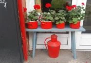 Keszegsütő Debrecen