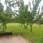 Lókötő Étterem és Pizzázó Mártély - Külső kép