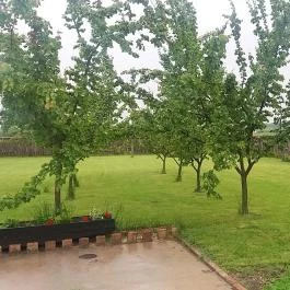 Lókötő Étterem és Pizzázó, Mártély - Külső kép