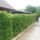 Lókötő Étterem és Pizzázó Mártély - Külső kép