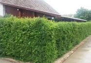 Lókötő Étterem és Pizzázó Mártély