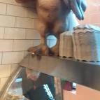 Pados Pipi Hús-Hentesáru, Grill Ételbár Budapest - Egyéb