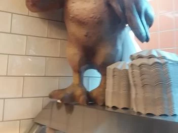 Pados Pipi Hús-Hentesáru, Grill Ételbár Budapest