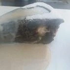 Terrace Café Budapest - Étel/ital