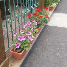 Trattoria La Prima, Kaposvár - Külső kép