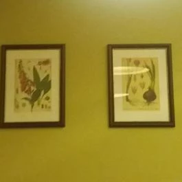 Vakvarjú Vendéglő - Buda, Budapest - Belső