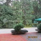 Hotel Bakony Bakonybél - Környék