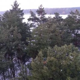 Erdőspuszta Club Hotel Debrecen - Környék