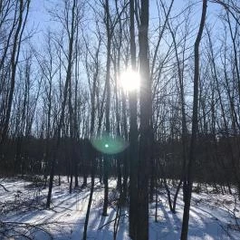 Erdőspuszta Club Hotel Debrecen - Környék