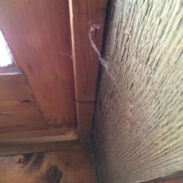 Királykúti Lovasporta Nagymaros - Egyéb