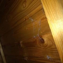 Királykúti Lovasporta Nagymaros - Egyéb