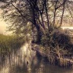 Hunguest Hotel Bál Resort Balatonalmádi - Környék