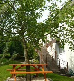 AlsóLővér Apartman 