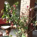 Alabástrom Panzió és Étterem Bogács - Külső kép