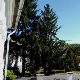 Antik Vendégház Nagyvisnyó - Környék