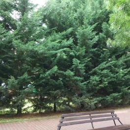 Aquarius Élmény- és Parkfürdő, Nyíregyháza - Egyéb