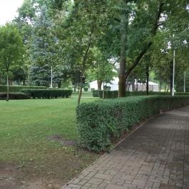 Aquarius Élmény- és Parkfürdő, Nyíregyháza - Egyéb