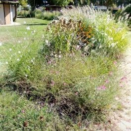 Aquarius Élmény- és Parkfürdő, Nyíregyháza - Egyéb