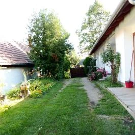 Bakonyi Vadász Háza, Bakonykúti - Egyéb