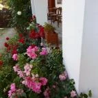 Bakonyi Vadász Háza Bakonykúti - Egyéb