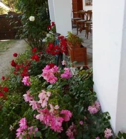 Bakonyi Vadász Háza