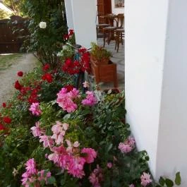 Bakonyi Vadász Háza, Bakonykúti - Egyéb