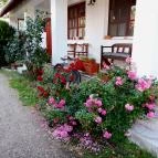 Bakonyi Vadász Háza Bakonykúti - Egyéb