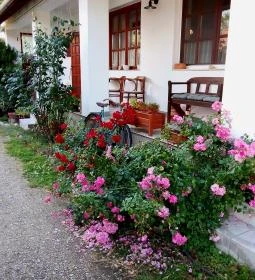 Bakonyi Vadász Háza