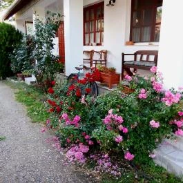 Bakonyi Vadász Háza, Bakonykúti - Egyéb