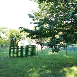 Bakonyi Vadász Háza, Bakonykúti - Medence/kert