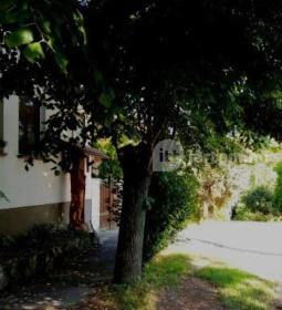 Bakonyi Vadász Háza