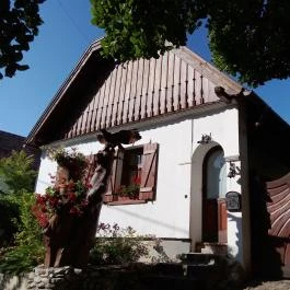 Bakonyi Vadász Háza, Bakonykúti - Környék