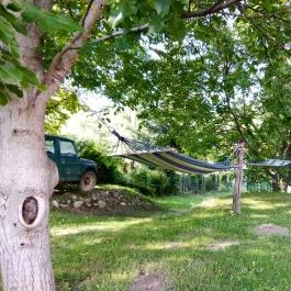 Bakonyi Vadász Háza, Bakonykúti - Medence/kert