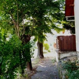 Bakonyi Vadász Háza, Bakonykúti - Külső kép