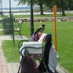 Balatongyöröki Strand Balatongyörök - 