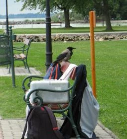 Balatongyöröki Strand