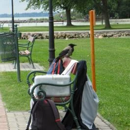 Balatongyöröki Strand, Balatongyörök - 