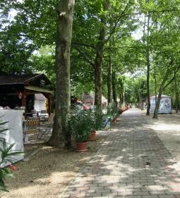 Balatongyöröki Strand