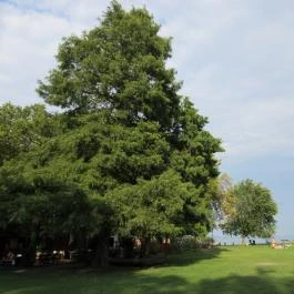 Balatongyöröki Strand, Balatongyörök - 