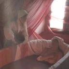 Báthori Várkastély & Panoptikum Nyírbátor - Egyéb