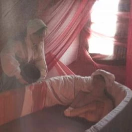 Báthori Várkastély & Panoptikum, Nyírbátor - Egyéb