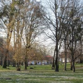 Batthyány Kúria Zalacsány - Medence/kert